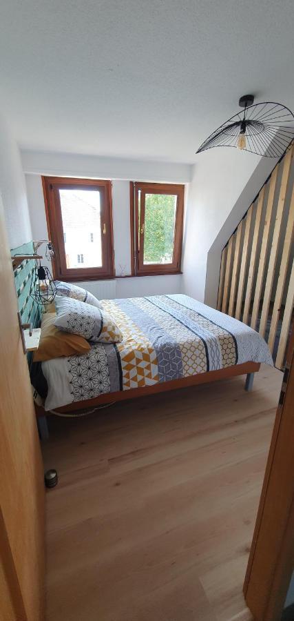 Le Cocon Du Rimbach Apartment Soultz-Haut-Rhin ภายนอก รูปภาพ